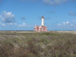 Kline Curacao IIMG 5441